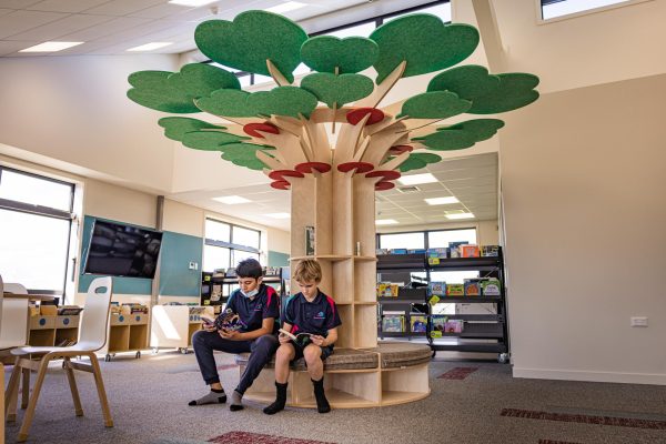 Acoustic Learning Tree LSG Schools Library